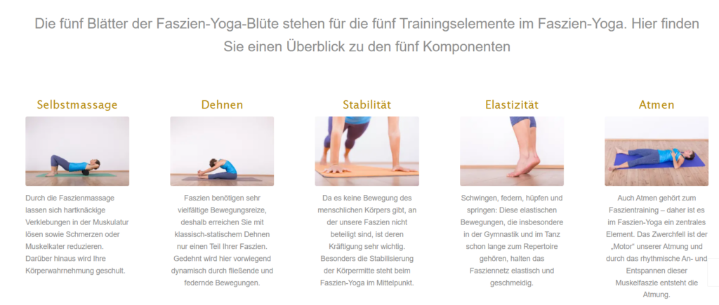 Faszien Yoga Online Kurse Erfahrungen Faszien Yoga Online Kurse Erfahrungen